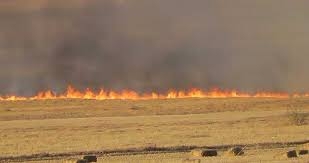 Şanlıurfa Suriye Sınırında Yangın!