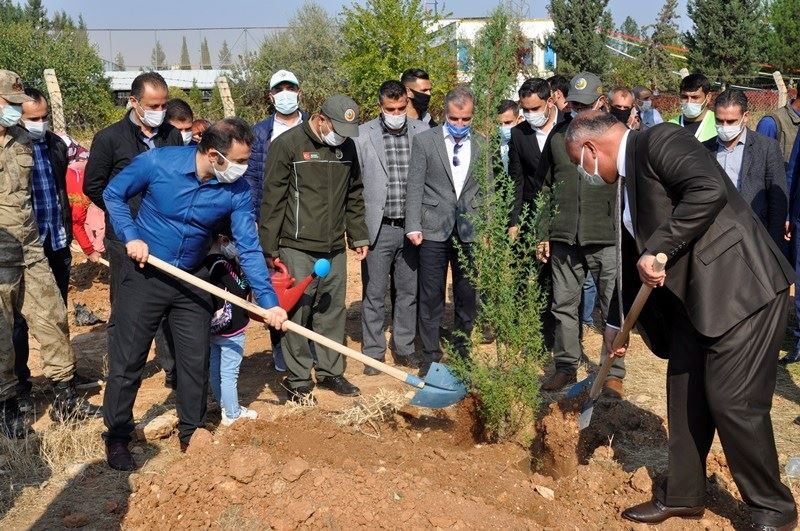 Milli Ağaçlandırma Günü Etkinliği  Ceylanpınar