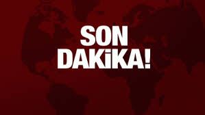 ceylanpınar da araç  devrildi 8 yaralı.