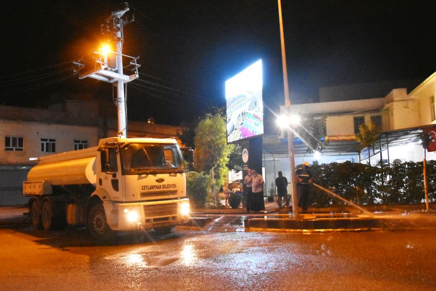 Ceylanpınar