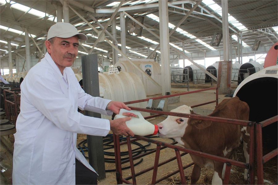 TİGEM GENEL MÜDÜRÜ SAİT KOCABAY CEYLANPINAR TARIM İŞLETMESİNİ ZİYARET ETTİ