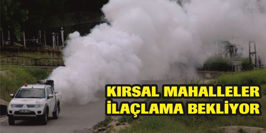 CEYLANPINAR KÖY SAKİNLERİ SİVRİSİNEKLERE KARŞI YARDIM BEKLİYORLAR