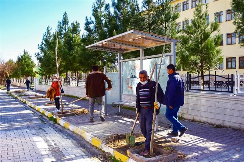 35 Bin Fidan Yeşil Ceylanpınar İçin Toprakla Buluştu