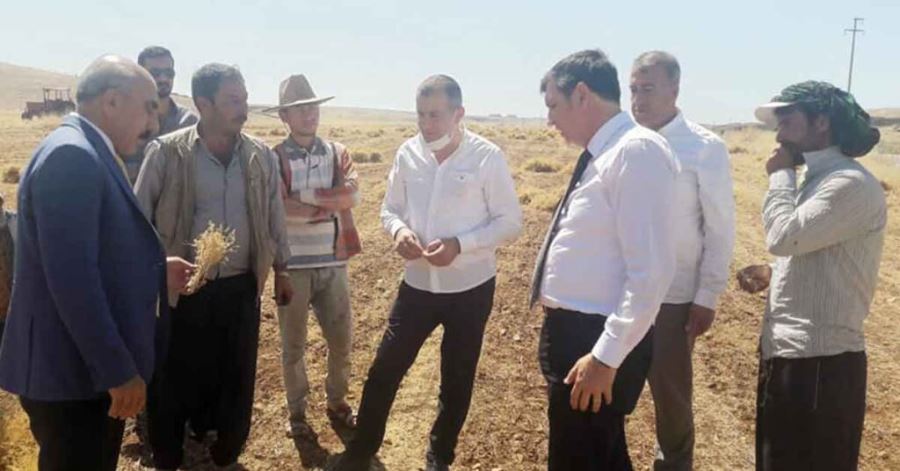 CHP Heyeti tarlada Urfa çiftçisini dinledi
