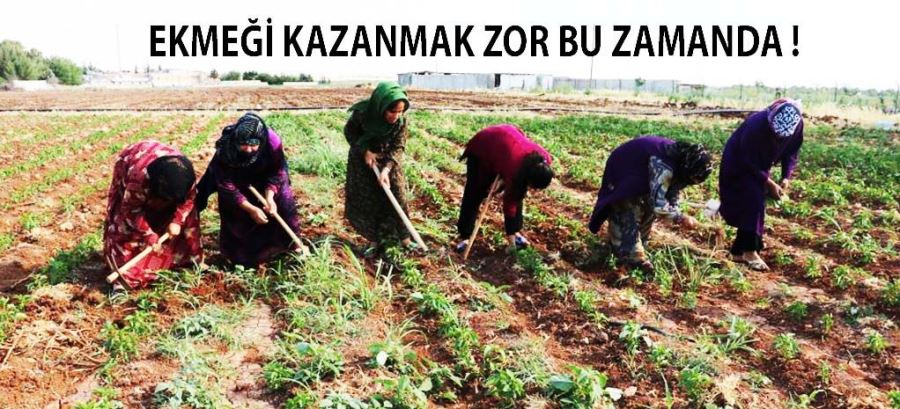 40 DERECE SICAKTA ZORLU MESAİ