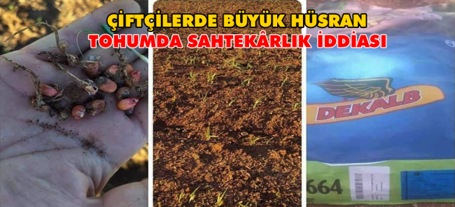 URFALI ÇİFTÇİLERİN, MISIR TOHUMUNDA YAŞADIKLARI HÜSRAN ADLİYEYE TAŞINDI