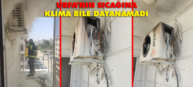 CEYLANPINAR