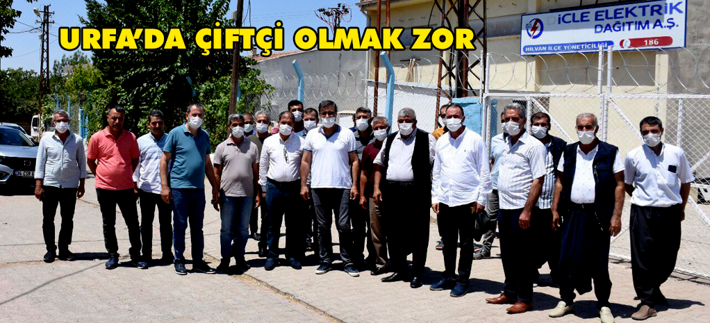 İŞTE URFALI ÇİFTÇİLERİN HÜKÜMETTEN BEKLENTİLERİ VE DEDAŞ