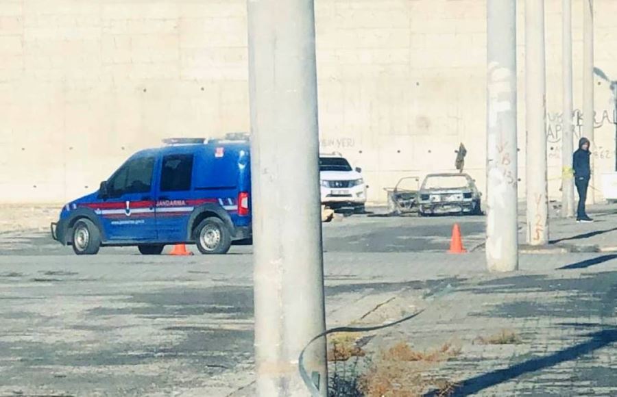 Ceylanpınar