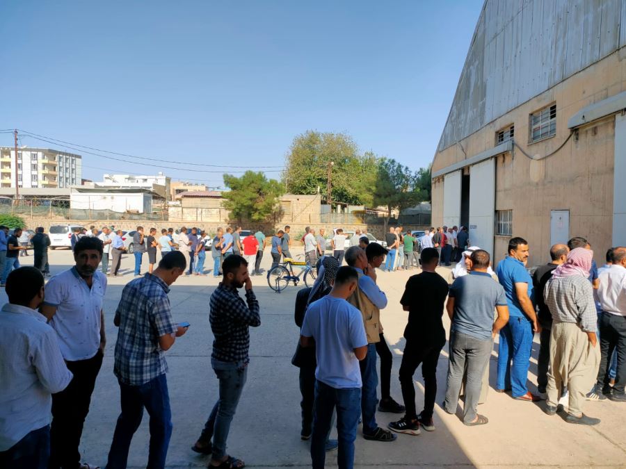 sabahın erken saatlerinde Ceylanpınar
