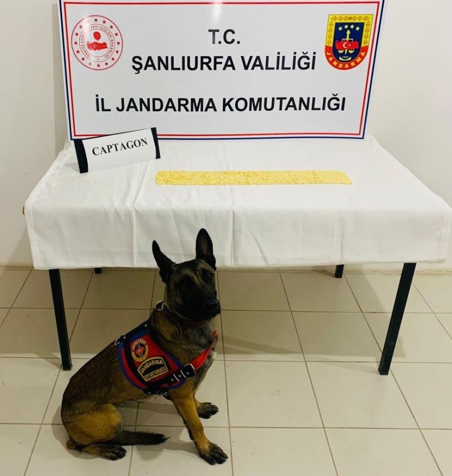 Akçakale ilçesinde jandrma bir eve oparasyon düzenledi.