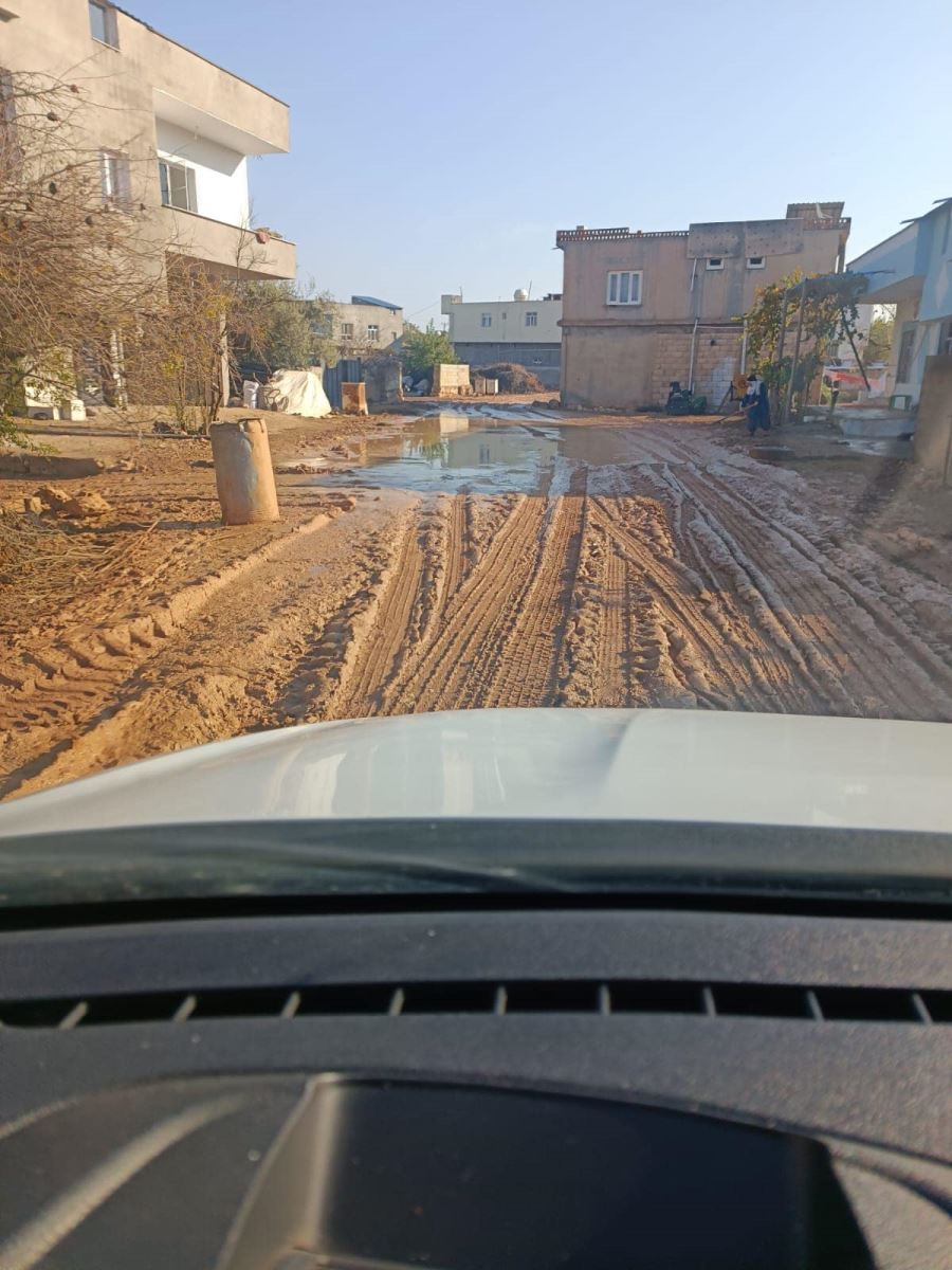  Bu köy  Ceylanpınar