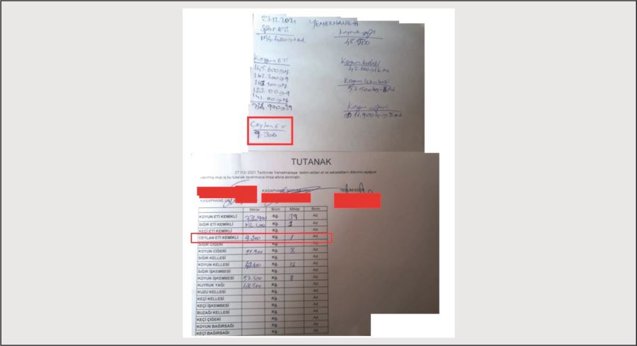 Tanal, Ceylanların kesildiği fotoğrafı paylaştı