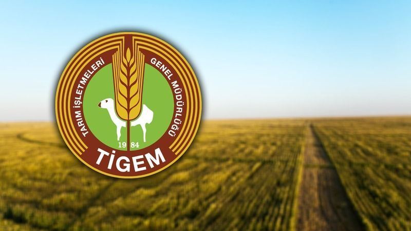TİGEM