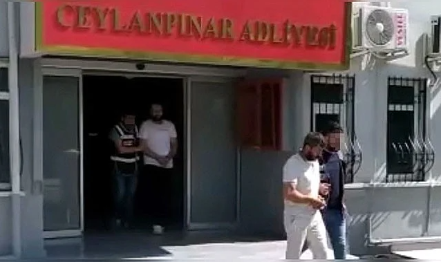 Ceylanpınar