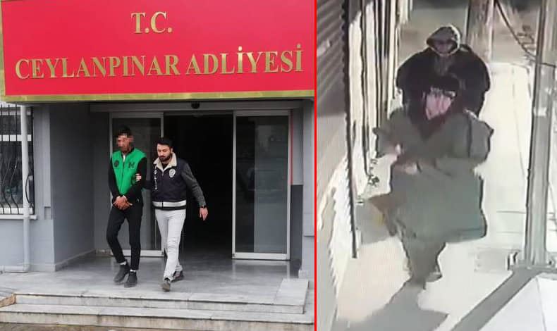 Ceylanpınar
