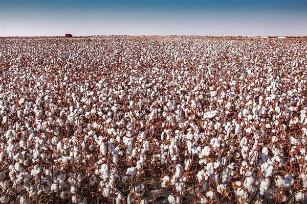 Xinjiang, 29 yıldır Çin