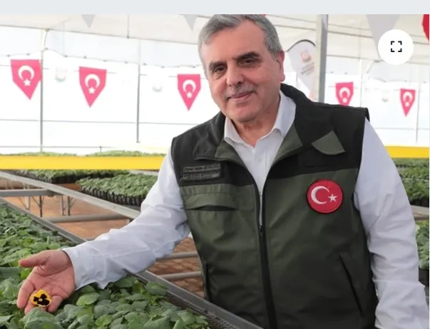 Beyazgül Rengarenk Çiçekler Şanlıurfa Sokaklarını Süsleyecek