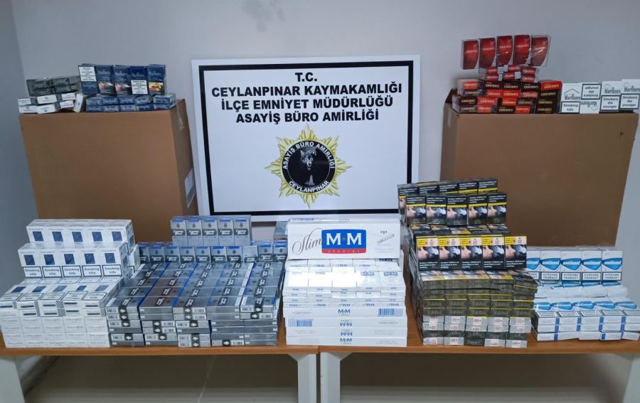 Ceylanpınar