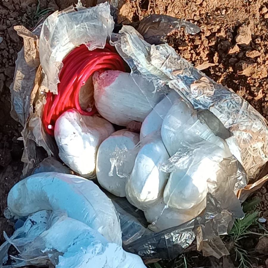 Ceylanpınar ilçesinde toprağa gömülü vaziyette 40 kilogram plastik patlayıcı ele geçirildi.