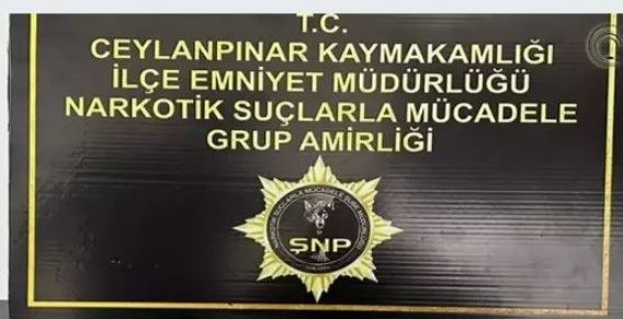Ceylanpınar