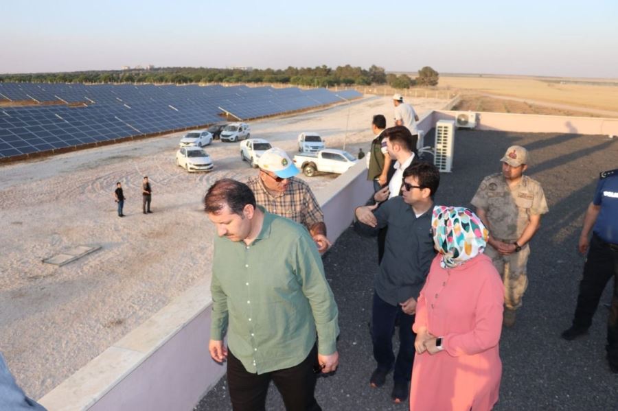 Şanlıurfa Valisi Ayhan, Tigem