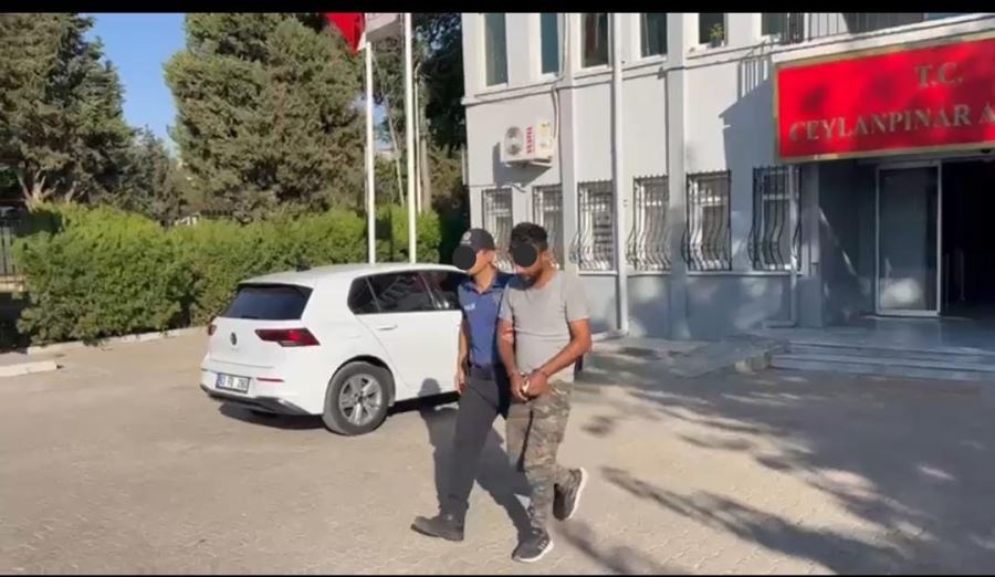 CEYLANPINAR İLÇE EMNİYET MÜDÜRLÜĞÜ ekipleri bayram boyunca alınan tedbirler sonucu hırsızlara göz açtırmadı.