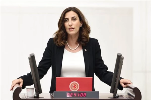 DEVA Partili Rızvanoğlu, kurşunun çevreye etkilerini meclis gündemine taşıdı