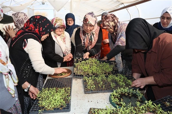  Eskişehir’de kadın çiftçilere süs bitkisi eğitimi verildi 
