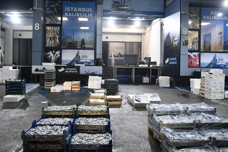 ABB, Balık Hali