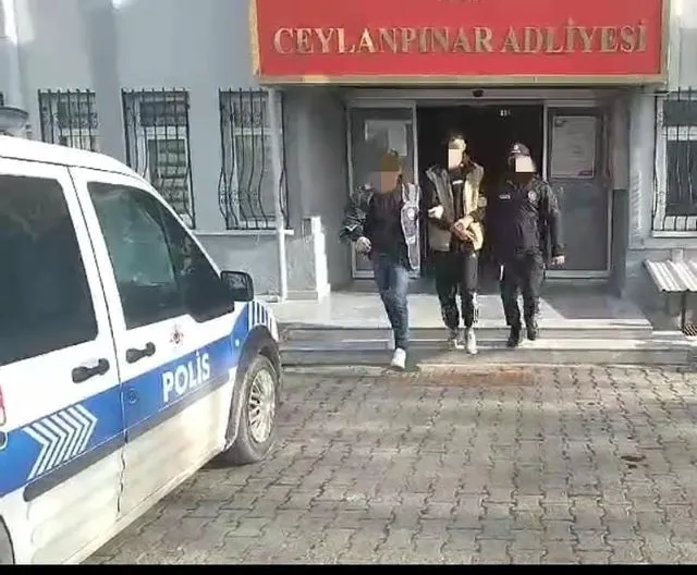 Ceylanpınar