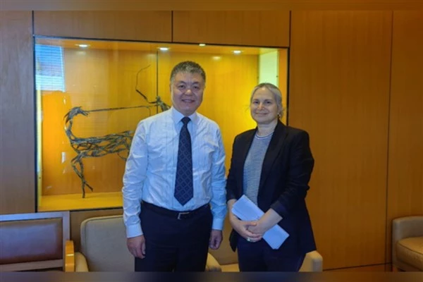 Çin büyükelçisi, Filistin ve İsrail