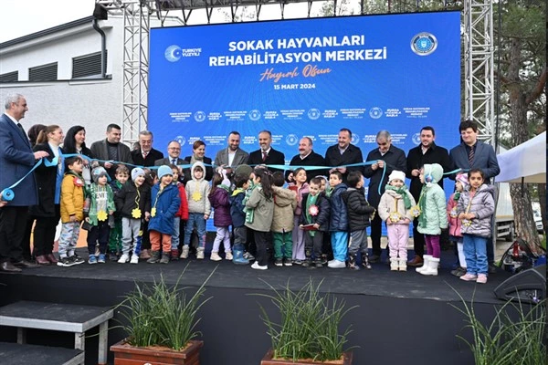 Bursa