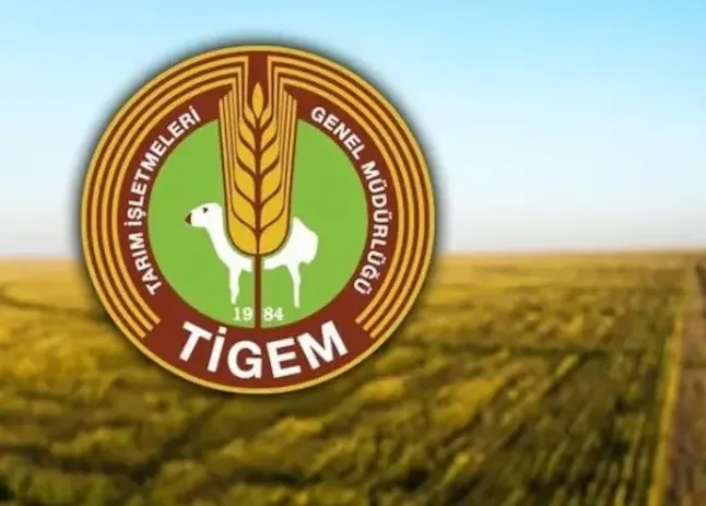 Ceylanpınar Tarım İşletmesi Müdürlüğü Mevsimlik İşçi Mülakat Sonuçları Açıklandı