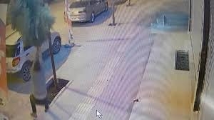 Böyle vicdansızlık görülmedi! Kaldırımdaki ağacı kırdı