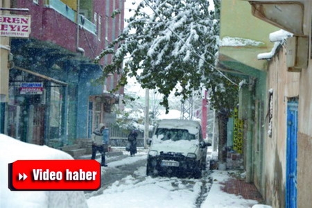 Ceylanpınar Beyaza Büründü, Ulaşım Rezaleti Başladı