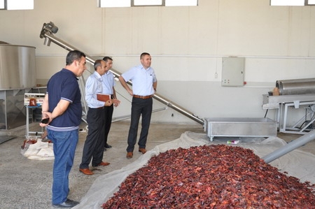 Ceylanpınar İsot Fabrikası Yeni Mahsulünü Çıkardı