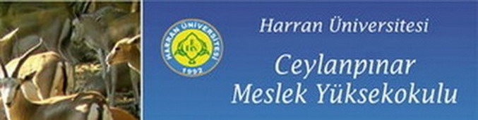 Ceylanpınar MYO İnşaatı İhaleye Çıktı
