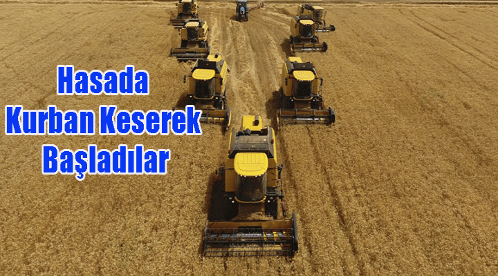 Ceylanpınar TİGEM`de Hasat Zamanı