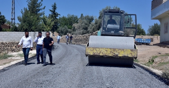 Ceylanpınar Yeniköy Mahallesi Asfalta Kavuştu
