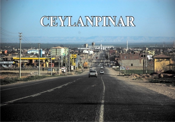 Ceylanpınar?da Tapular Neden Dağıtılmıyor? 