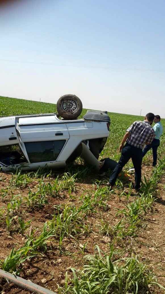 Ceylanpınarda Trafik kazası