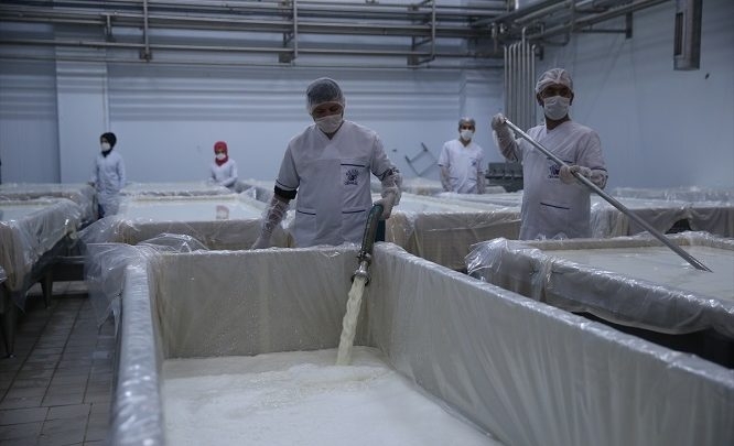 Ceylanpınar?da Üretilip, Tüm Dünyaya İhraç Ediliyor