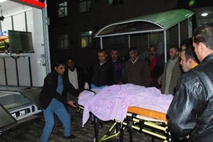 Ceylanpınar?da Yıldırım Can Aldı