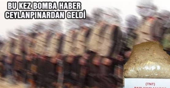 Ceylanpınar`da Yol Kontrolünde Patlayıcı Ele Geçirildi
