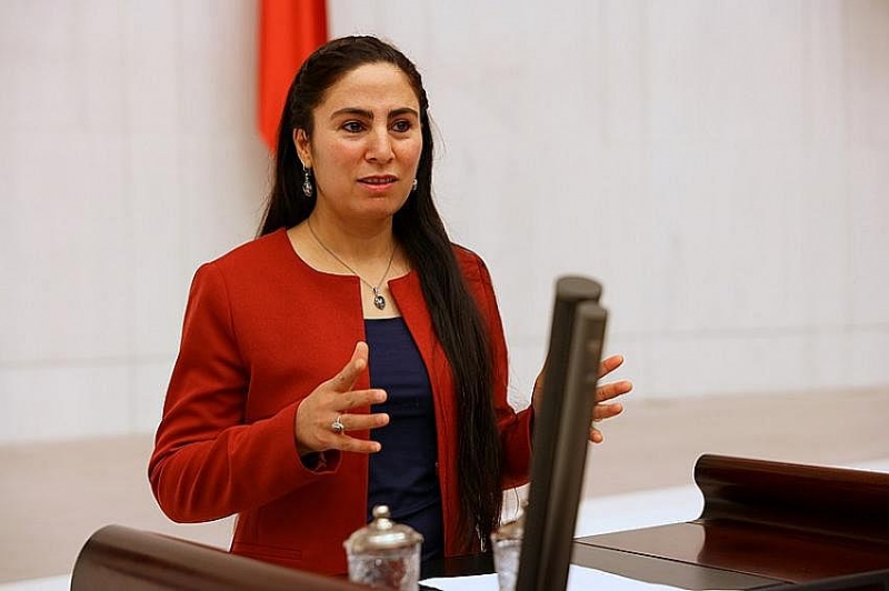 Ceylanpınar?daki ?çocuk istismarı? meclise taşındı