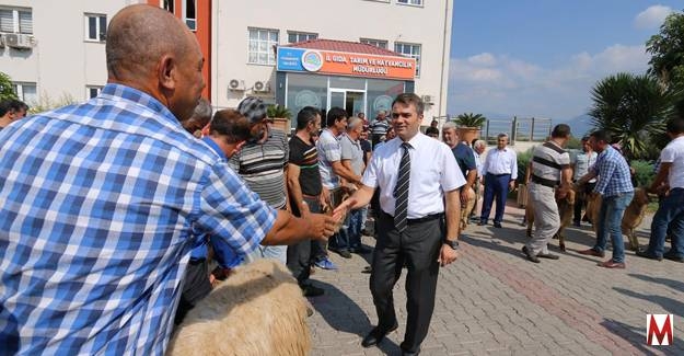 Ceylanpınar?dan Osmaniye?ye Proje Kapsamında ?Koç? Satımı 