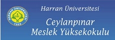 Ceylanpınar?ın Üniversite Hayali?