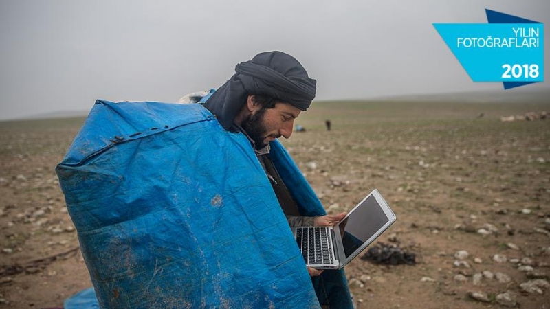 Ceylanpınarlı Çobanlar, AA`nın 