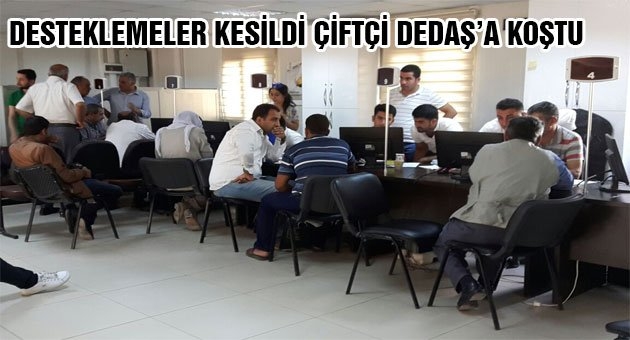 Dedaş?tan Çiftçilere Destekleme Eziyeti